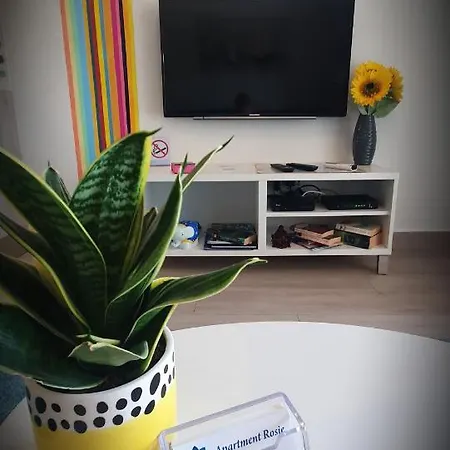 Rosie Apartment